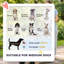 Foldable Pet
