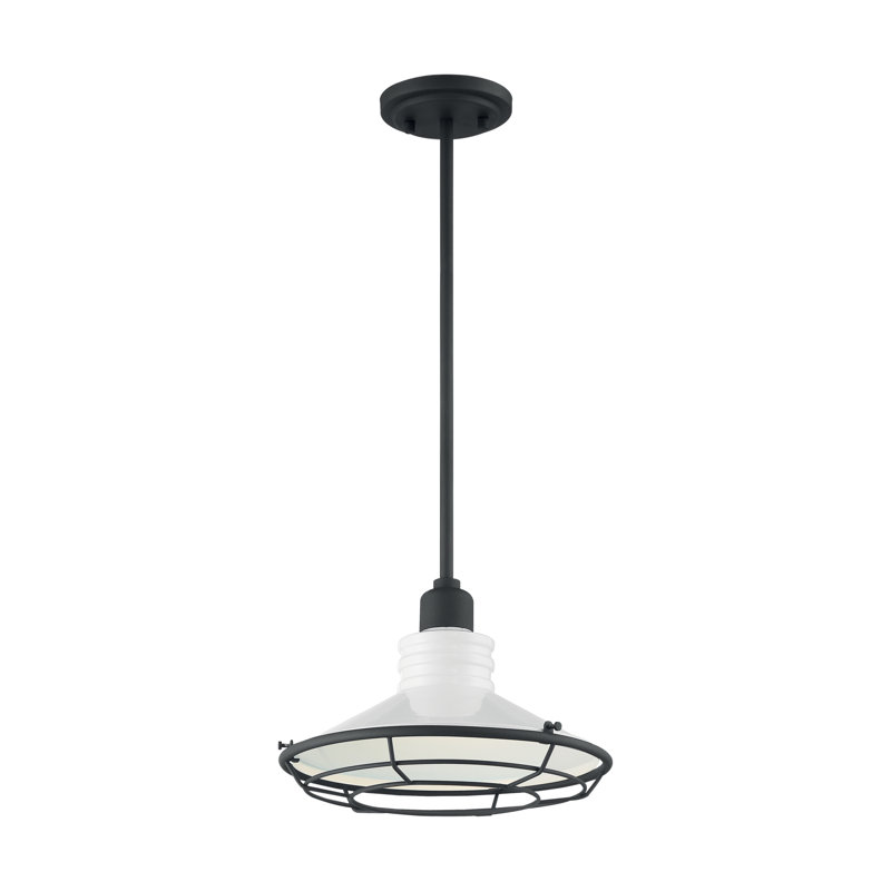 Luminaire suspendu en forme de lanterne à 1 lumière Parkdale, H 8,13 po x l 12 po x P 12 po
