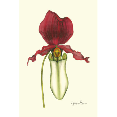 Majestic Orchid I by Jennifer Goldberger - Wrapped Canvas Art Prints