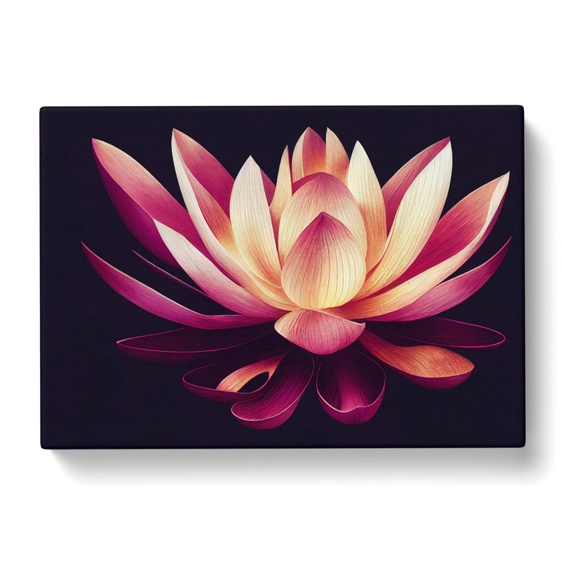 A Striking Lotus Flower - Wrapped Canvas, 50cm H x 76cm W x 3cm D