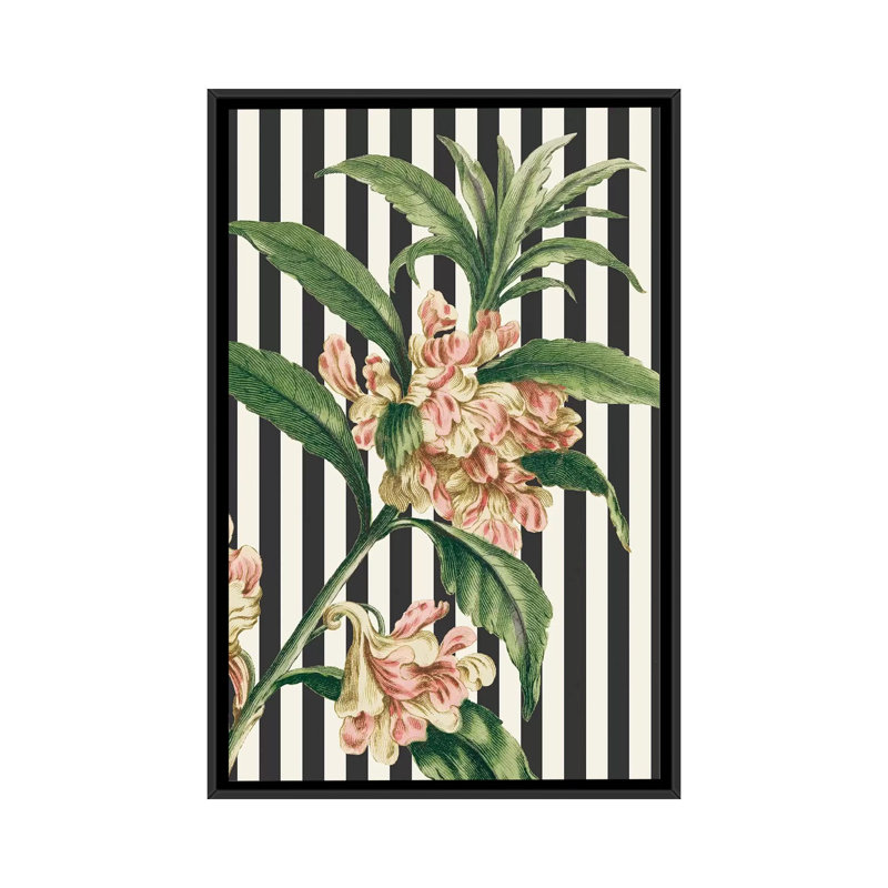 « herbes botanique xxvi bold », impression sur toile, H 26 po x l 18 po x P 1,5 po, Toile avec cadre noir, Pas de tapis