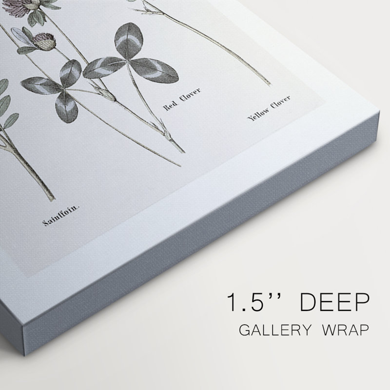 Multi Botanical II - Cavas enveloppés de galerie, H 27 po x l 18 po