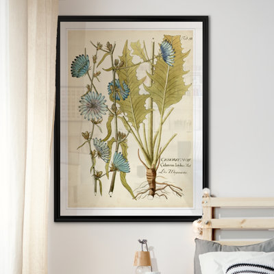 " Eloquent Botanical I "