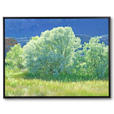 Spring Russian Olive Tree Design Print by Bruce Heinemann Made & Curated