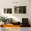 Leisha les grattoirs de plancher-108154425