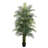 Plant-1804550599