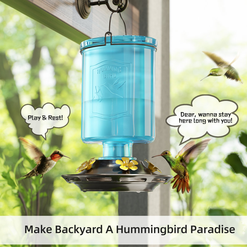 Mangeoires de colibri Byrce