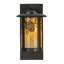 Rustic Lodge 1 - Light Outdoor Wall Lantern