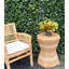 Kamila Faux Croton Plant in Pot-107949498