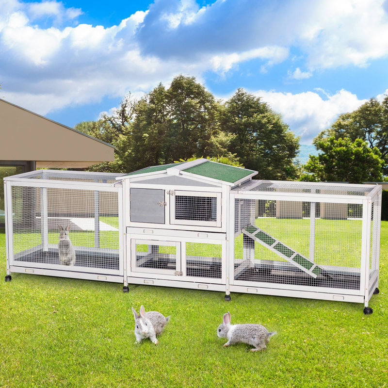 Deniecia Weather Resistant Rabbit