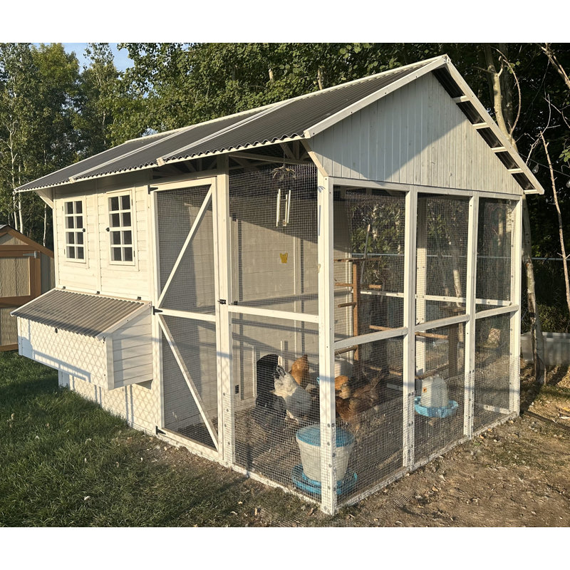 Zylina White Wooden Chicken Coop with Run and Nesting Bays
