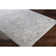 Oriental Indoor Rug