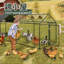 Chicken Coop