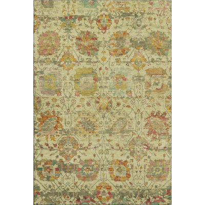 Premium Machine Washable Lucchesi AMF1732 Global Rug