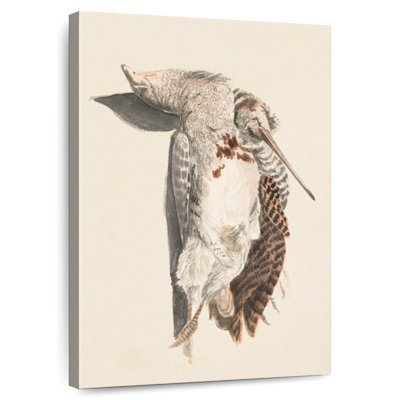 Deux oiseaux morts