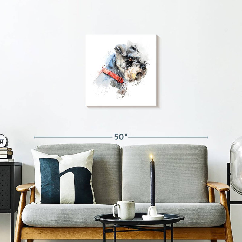 Crowle Schnauzer Splash