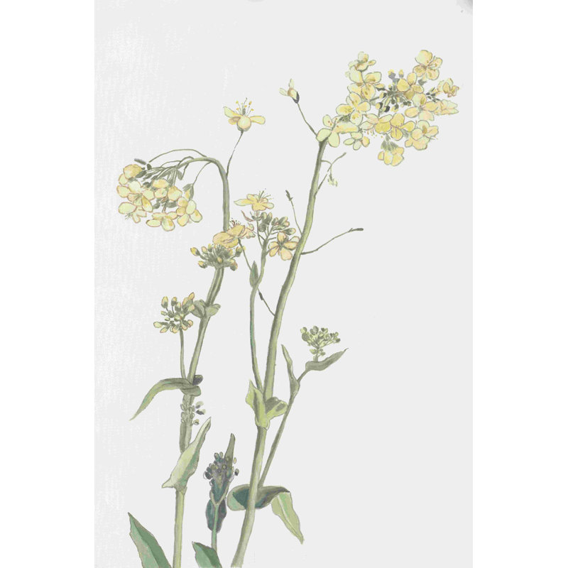 Fleurs jaunes sur fond blanc, H 18 po x l 12 po