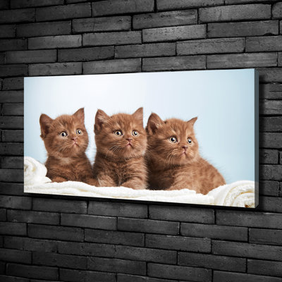 Kitties on a Towel 1 Piece Wrapped Canvas Wall Art