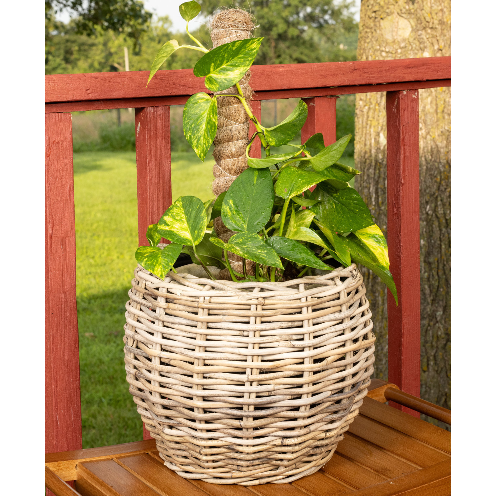 13" Pot Planter
