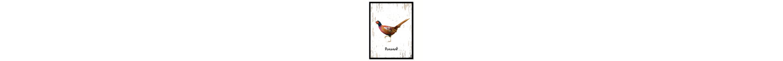 " Peasant Bird Canvas Print "