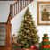 Carolina Extra Full Green Tree Family Flocked/Frosted Christmas Tree and Pinecones
