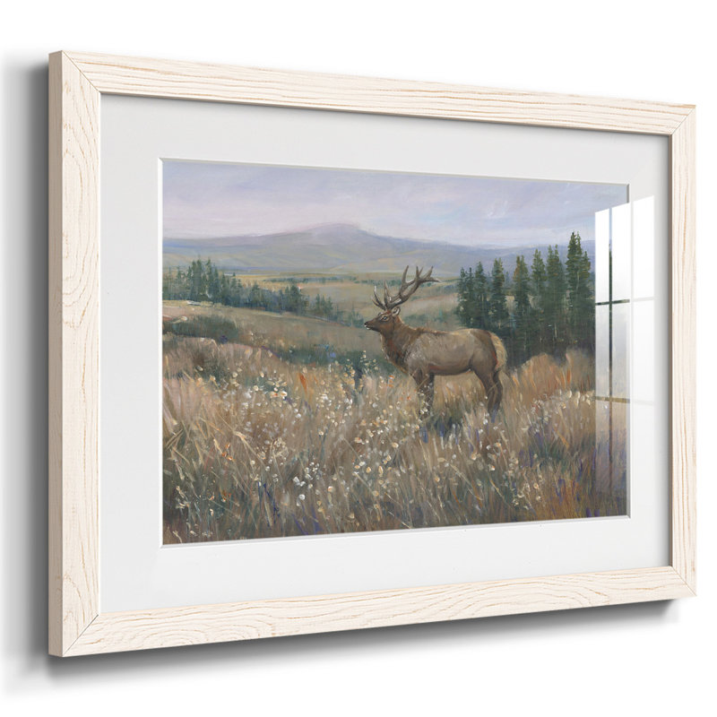 Western Wildlife II, reproduction d'art encadrée, H 18 po x l 26 po, Blanc