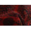 Tapis d’intérieur en laine rouge/noir 4 pi 1 po x 6 pi 1 po noué la 2010s one-of-kind- "main-of-kind-esari turque Allaina