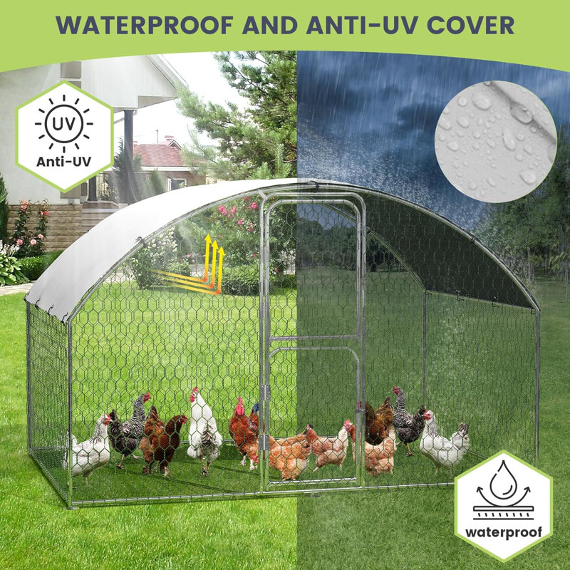 Chicken Coop, 199.9cm H x 299.7cm W x 199.9cm D