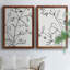 Croquis botanique I - Toile encadrée de qualité supérieure - prête à être accrochée-984635346-984634410