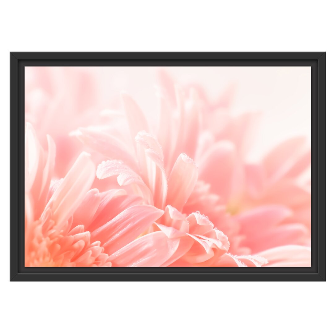 Gerahmtes Wandbild Gerbera Blume