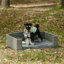 Lit pour chien Seasonal PE-302443368-302443346