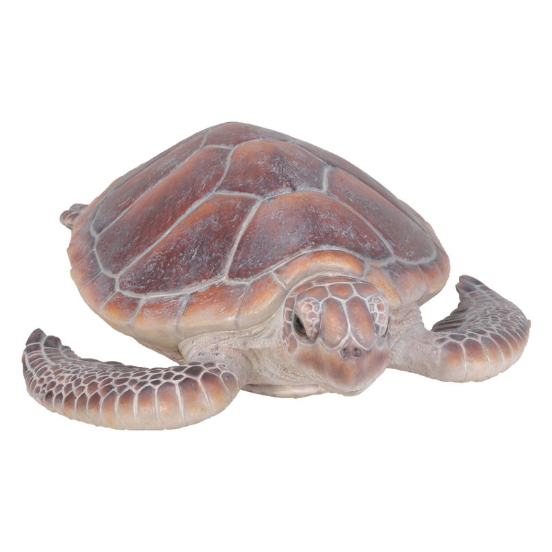 GRANDE TORTUE DE MER