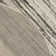 Corel Machine Woven Polyester/Polypropylene Area Rug in Cream/Ivory