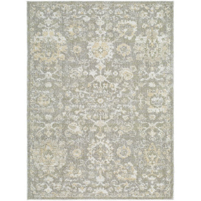 Jazz Oriental Area Rug