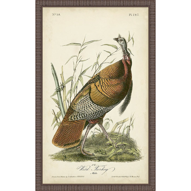 Miko «Wild Turquie» par John Audubon, impression encadrée