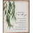 I Am With You Greenery White-2123485307