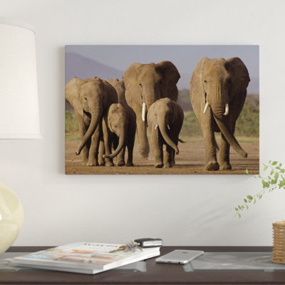 « africain éléphant troupeau avec veaux amboseli national park kenya », reproduction de photo sur toile
