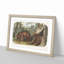 Cinnamon Bears by J.W. Audubon - Picture Frame Painting Print-55545839-55545840