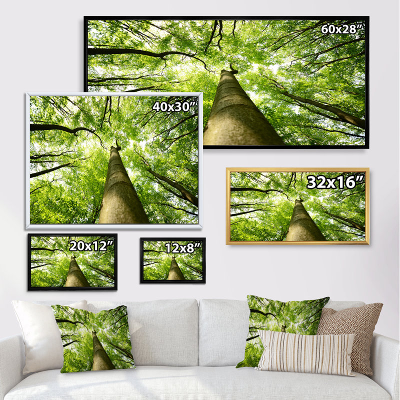 «Tree Canopies Summer Forest» - photographie sur toile, Cadre noir, H 8 po x l 12 po x P 1 po