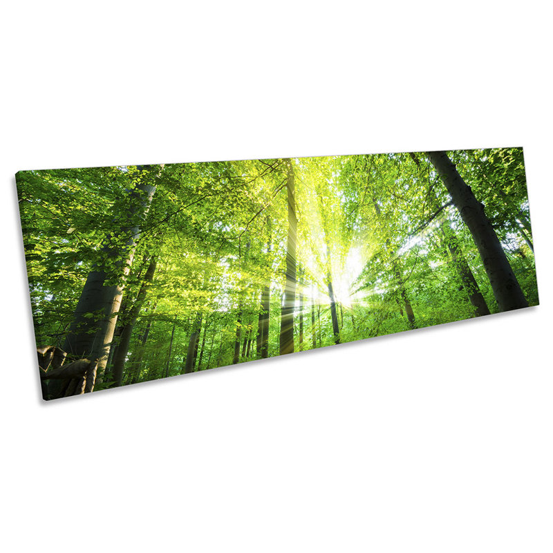Sunset Forest Trees Sunlight - Wrapped Canvas Panoramic Print, 40.64cm H x 121.92cm W