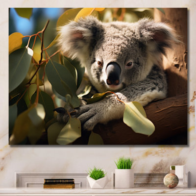 Australie, Koala Haven II, reproduction d'art sur toile