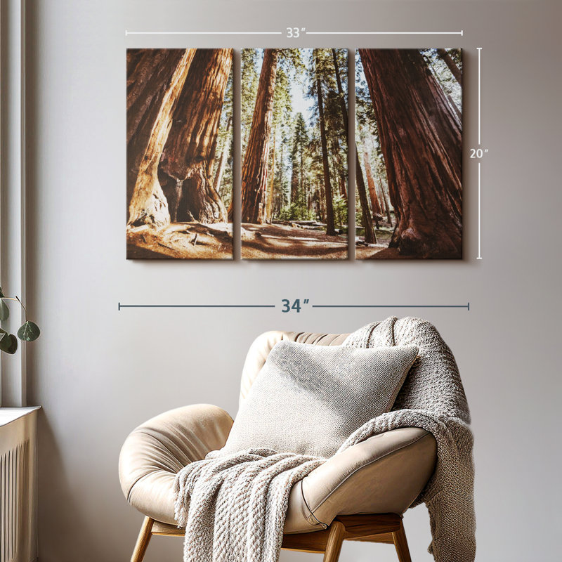 " Summer In Sequoia Park ", 20" H x 33" W x 1.25" D