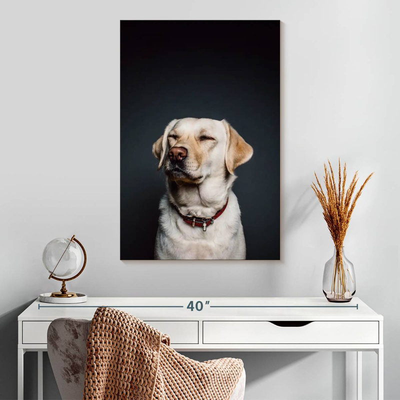 Brampt loufoque le Labrador, H 30 po x l 20 po