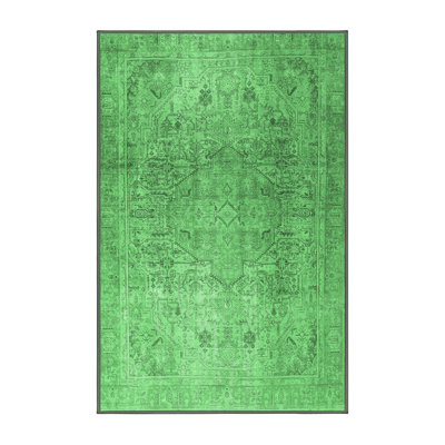 Oriental Indoor Rug