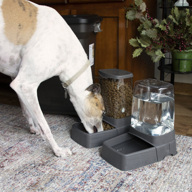 Pets Automatic Feeder set Pets gravity food feeder and water