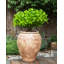 PYRUS Handmade Pot Planter