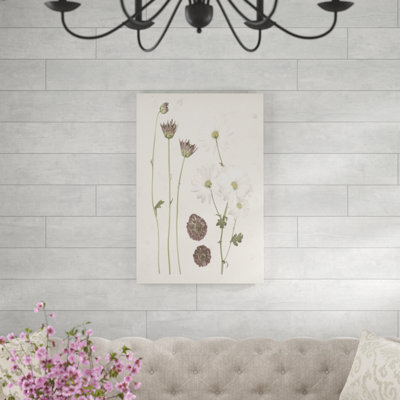 «Pressed Blooms IV», impression sur toile