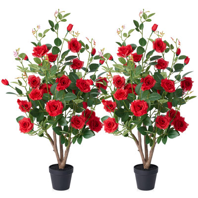 Ashwell UV Resistant Rose Tree