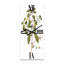 Horloge murale American Flora IV-1997196303