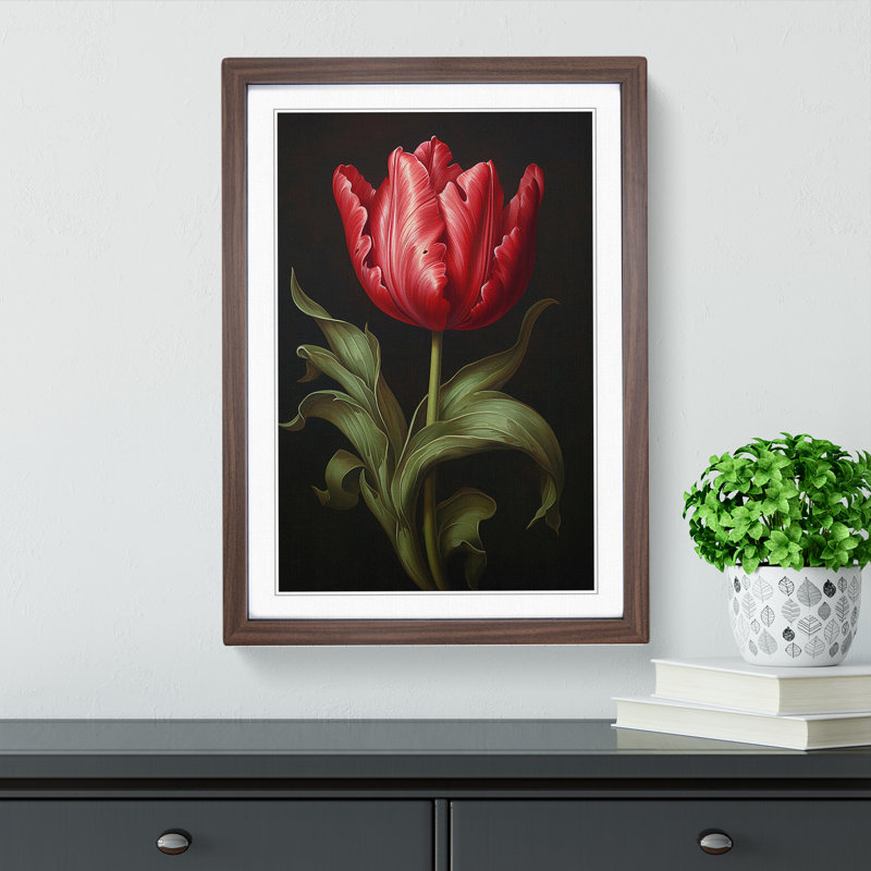 XYZ-FRM-V1223-1645 Tulip Flower Baroque - Single Picture Frame Print on Wood, Walnut , 34cm H x 25cm W x 2cm D